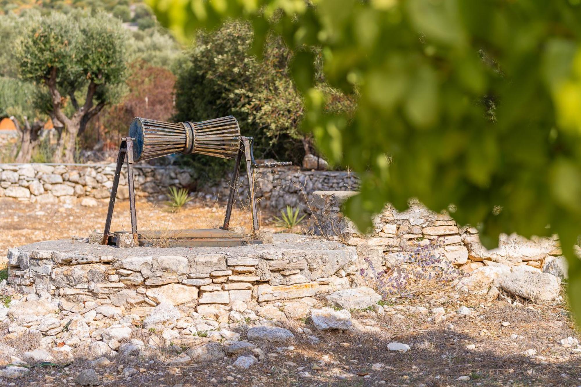 Chora  Ether Farmhouse מראה חיצוני תמונה